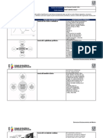 Actividad4 - Organizador Gráfico-4