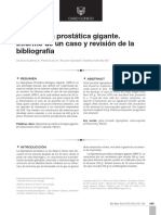 HPB-G de 600g tratada con prostatectomía