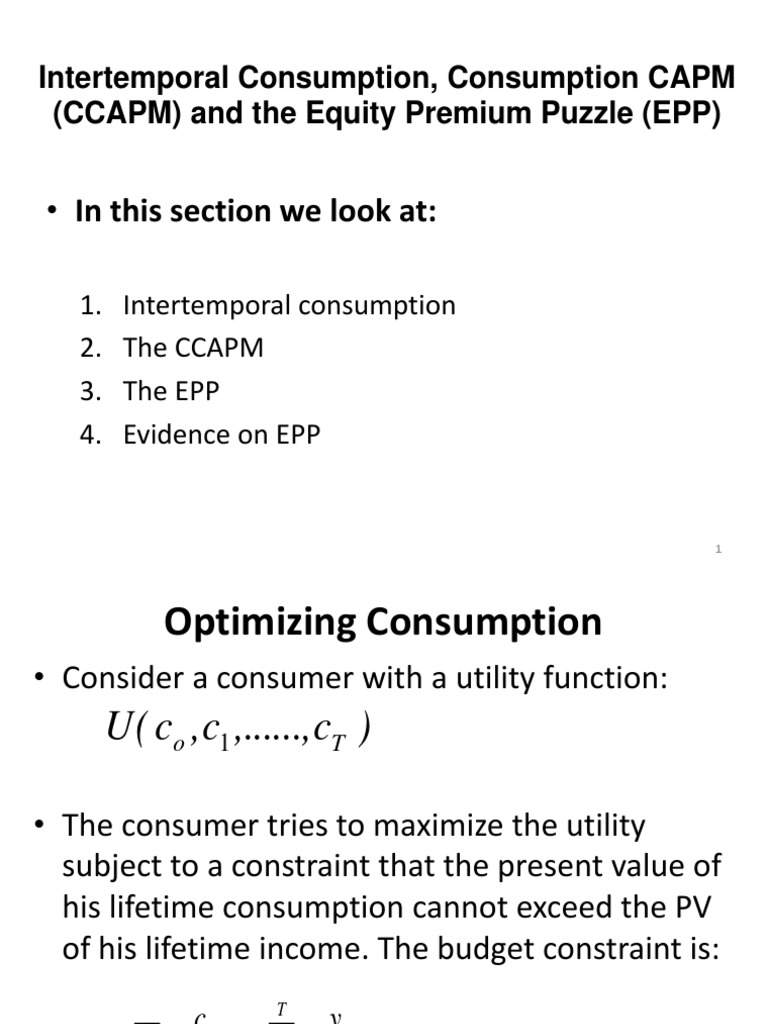 CCAPM and Equity Premium Analysis | PDF | Risk Premium | Microeconomics