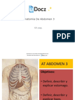 Anatomia de Abdomen 3 1 Downloable