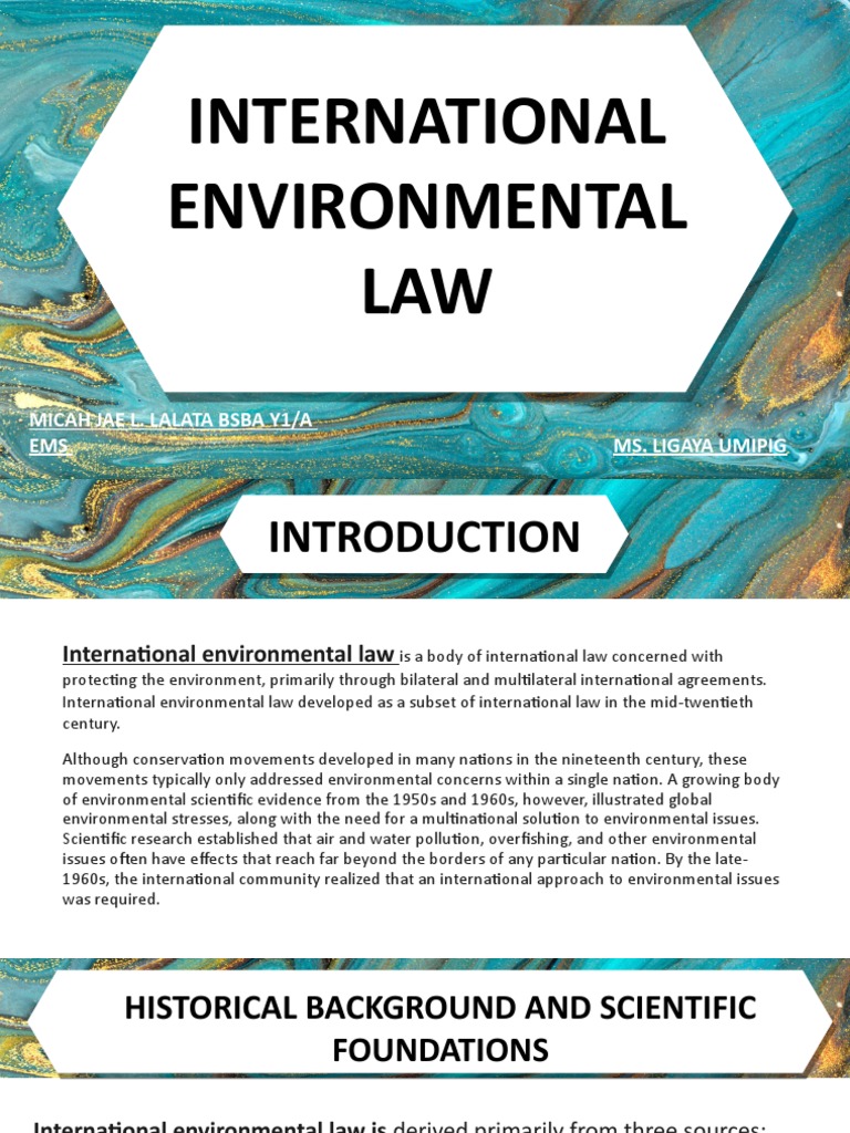 Overview of International Environmental Law | PDF | Environmental Law ...