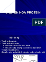 Chuyển Hoá Protein