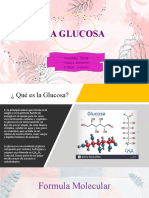 Glucosa (1)