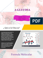 Glucosa