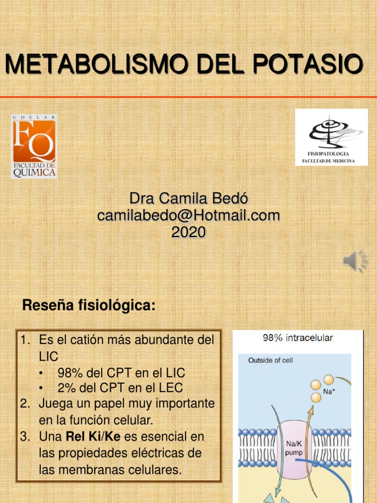 Metabolismo Del Potasio | PDF | Dieta y nutrición | Química