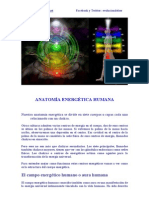 ANATOMIA ENERGETICA