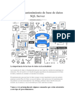 Guía de Mantenimiento de Base de Datos SQL Server