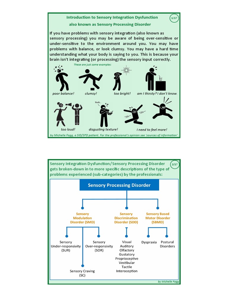 Introduction To Sensory Integration Dysfunction / Sensory Processing