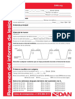 Resumen Del Informe de Lesiones