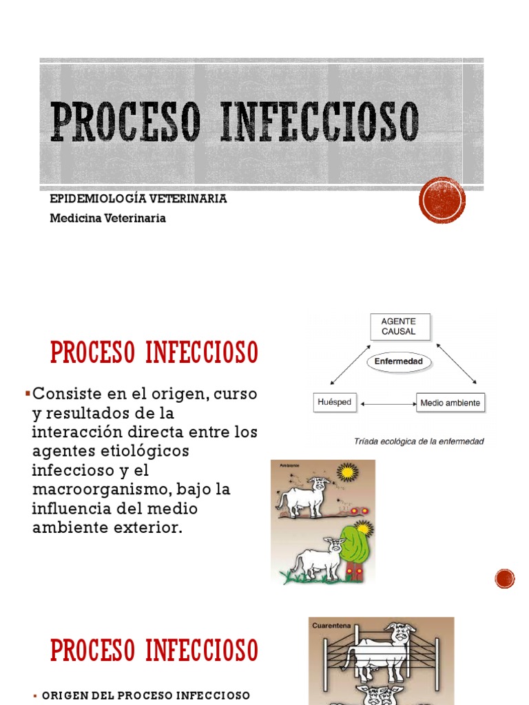 Etapas del Proceso Infeccioso Veterinario | PDF | Infección | Ciencias ...
