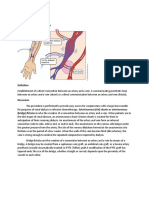 Arteriovenous-Shunt