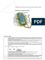 Bacterias TP 9 Material de Estudio