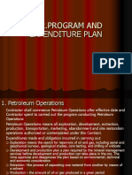 Program and Expenditure Plan Budget