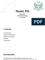 PIS Model for Postoperative Pain