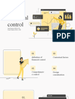 Financial Control Design and Implementation