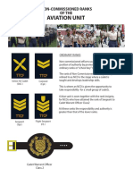 Ranks and Badges - ORs