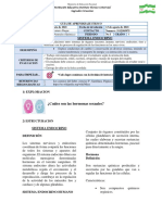 Guia 8-3P-SISTEMA ENDOCRINO