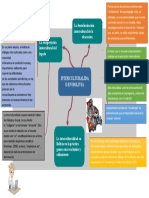 MapaMental-INTERCULTURALIDAD DE BOLIV