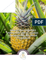 Innovations Techniques Culture de L'ananas Biologique en Réunion