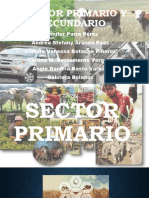 Sector Primario y Secundario