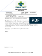 Informe Ecografico Abdominal Diamena