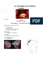 4ª AULA Afecções Cirúrgicas Do Ombro Canino