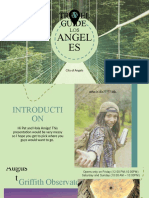 Travel Guide: Angel ES