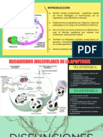 APOPTOSIS