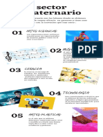 Sector Cuaternario (Infografia)