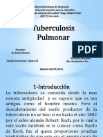 Tuberculosis pulmonar: diagnóstico, tratamiento y factores de riesgo