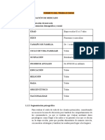 Investigacion de Mercado - Plan de MKT y Plan de Operaciones