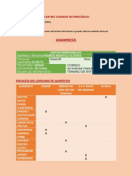 Plan de Cuidados 14 Semana