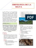 Geomorfología de La Selva Para Quinto Grado de Secundaria (1)