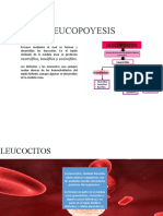 Fisiología Humana