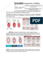 APARATO CIRCULATORIO + Linfático (Propio)