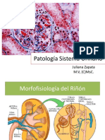 patologasistemaurinario-131006115654-phpapp01 (1)