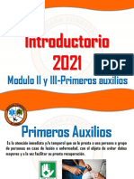 Introductorio 2021: Modulo II y III-Primeros Auxilios