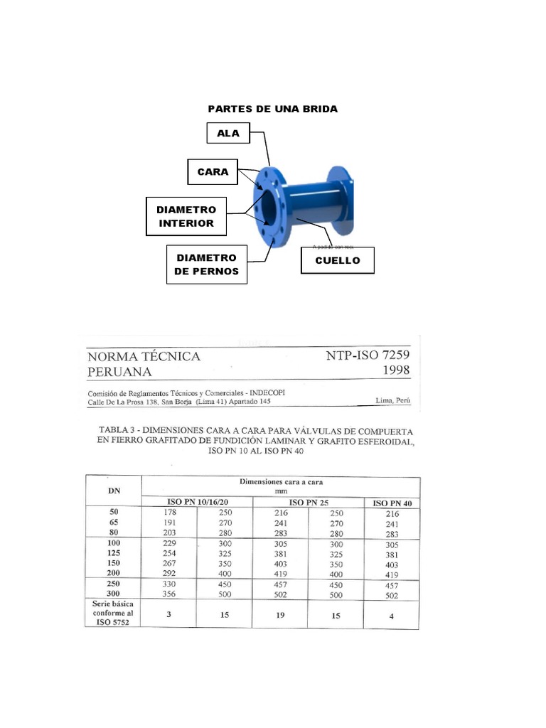 Partes De Una Brida PDF