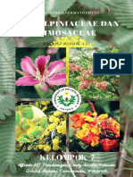 Caesalpiniaceae dan Mimosaceae