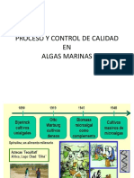 Proceso en Algas Marinas