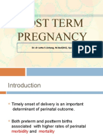 Post Term Pregnancy: Dr. DR Letta S Lintang, M.Ked (OG), SP - OG (K)