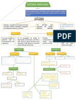 Mapa Conceptual