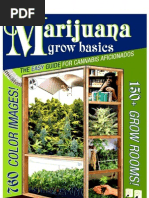 Download Marijauna Grow Basics - Jorge Cervantes by sosh_s SN52311860 doc pdf