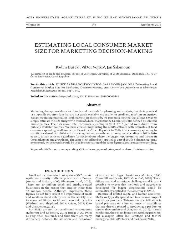 Estimating Local Consumer Market Size For Marketin PDF Marketing Market (Economics)