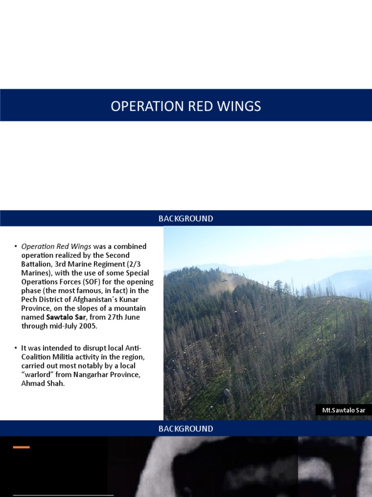 Overview of Operation Red Wings | PDF