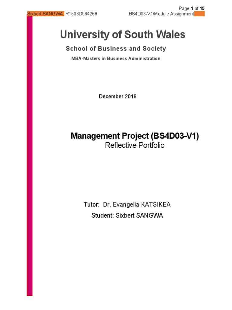 Management Project Reflective Portfolio Pdf Learning Consultant