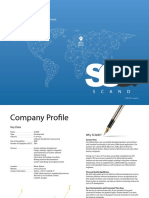 Scand LTD.: Software Consulting and Development