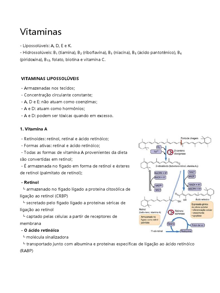 Vitaminas Lipossolúveis e Hidrossolúveis. | PDF | Vitamina A | Vitamina