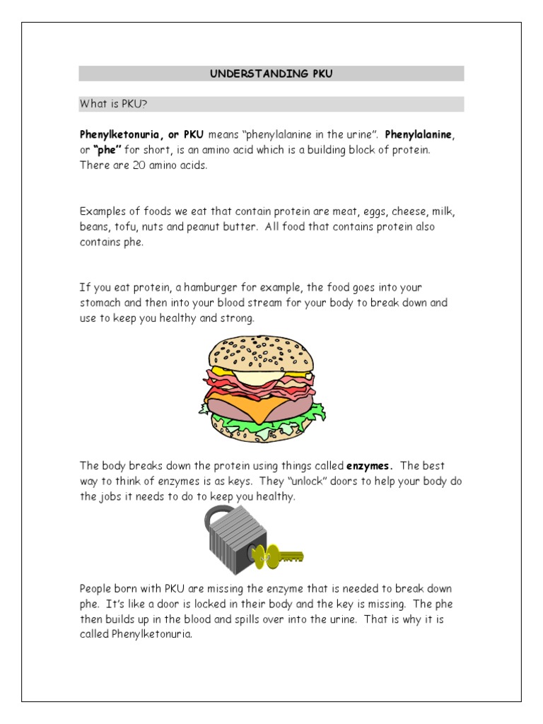 Understanding Pku 2014 | PDF | Phenylalanine | Food And Drink