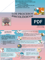 Mapa Mixto de Los Procesos Psicologicos Seccion 4102 PNF Psicologia Social Roxenys Pinto
